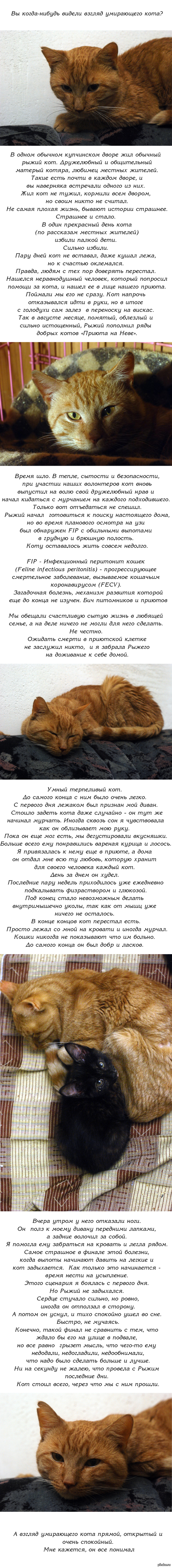 Ссылки на кракен at