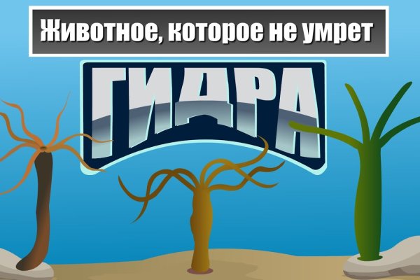 Кракен тор ссылка онион