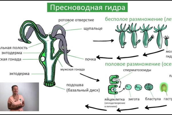 Kra37at