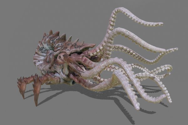 Kraken что это за сайт