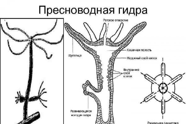 Кракен рабочее на сегодня сайт