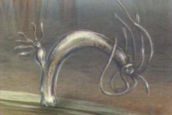 Kra39.cc