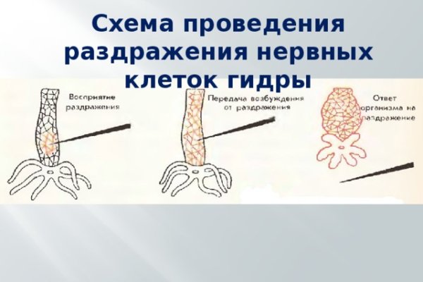 Кракен войти на сайт