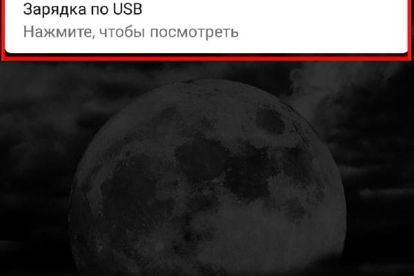 Кракен маркет даркент только через тор