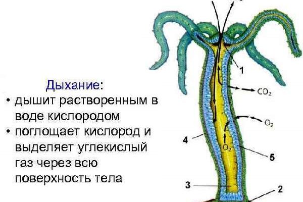 Кракен площадка ссылка